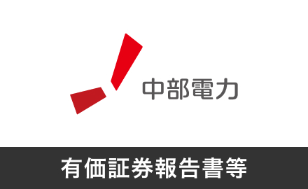 有価証券報告書等