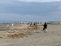 掛川市が主催する「海岸清掃作業」に参加しました