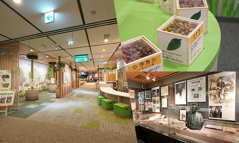 4階　あそびとまなびの森・でんき資料室